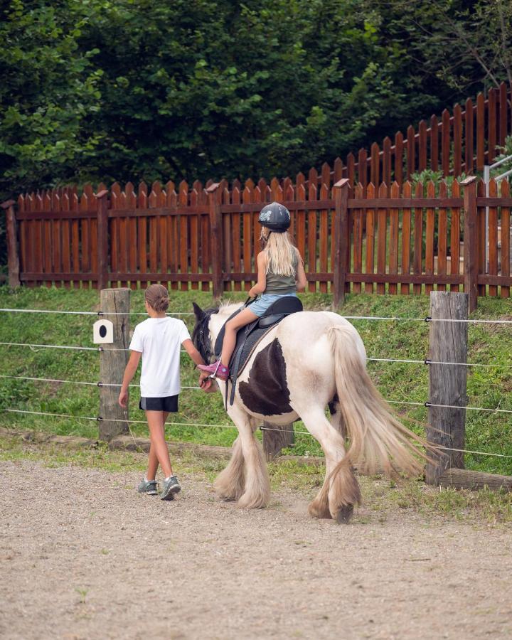 Familienbauernhof Samerhof Пфарверфен Екстериор снимка