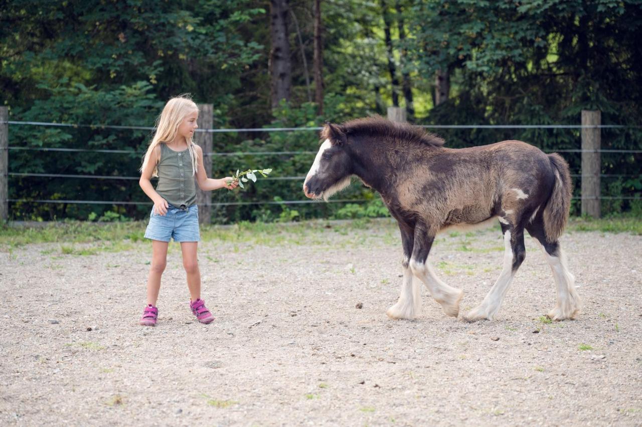 Familienbauernhof Samerhof Пфарверфен Екстериор снимка