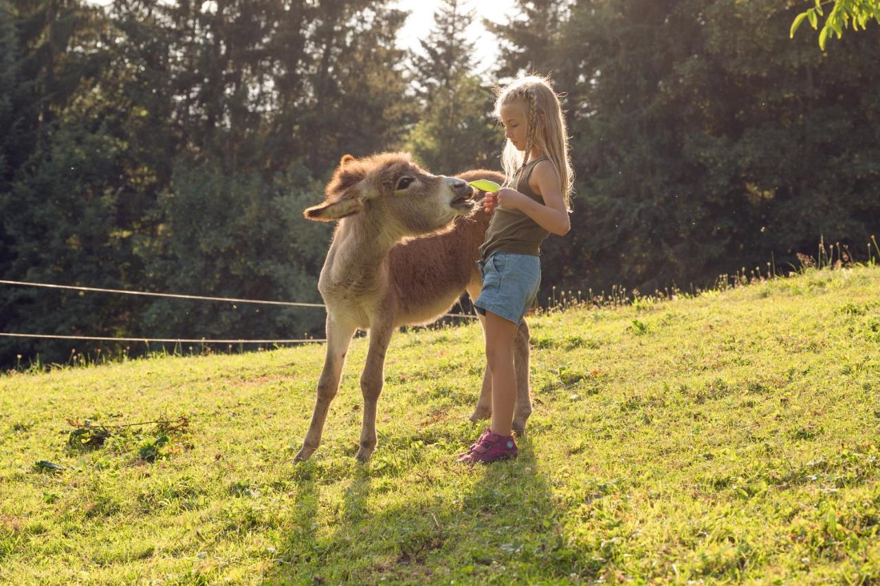 Familienbauernhof Samerhof Пфарверфен Екстериор снимка