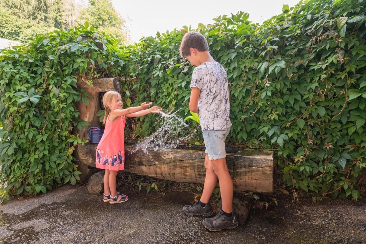 Familienbauernhof Samerhof Пфарверфен Екстериор снимка