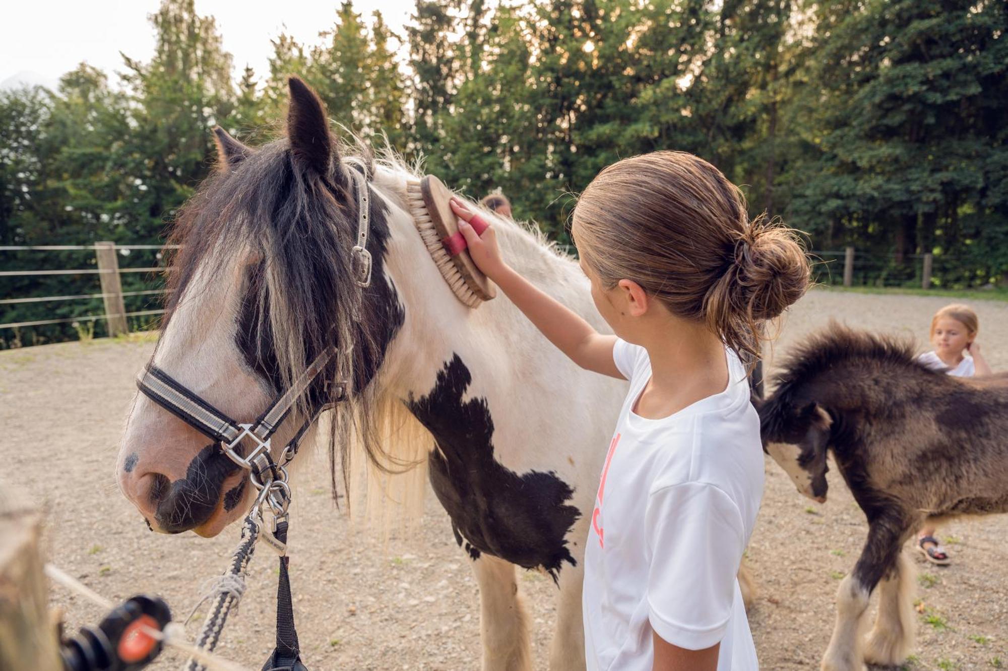 Familienbauernhof Samerhof Пфарверфен Екстериор снимка