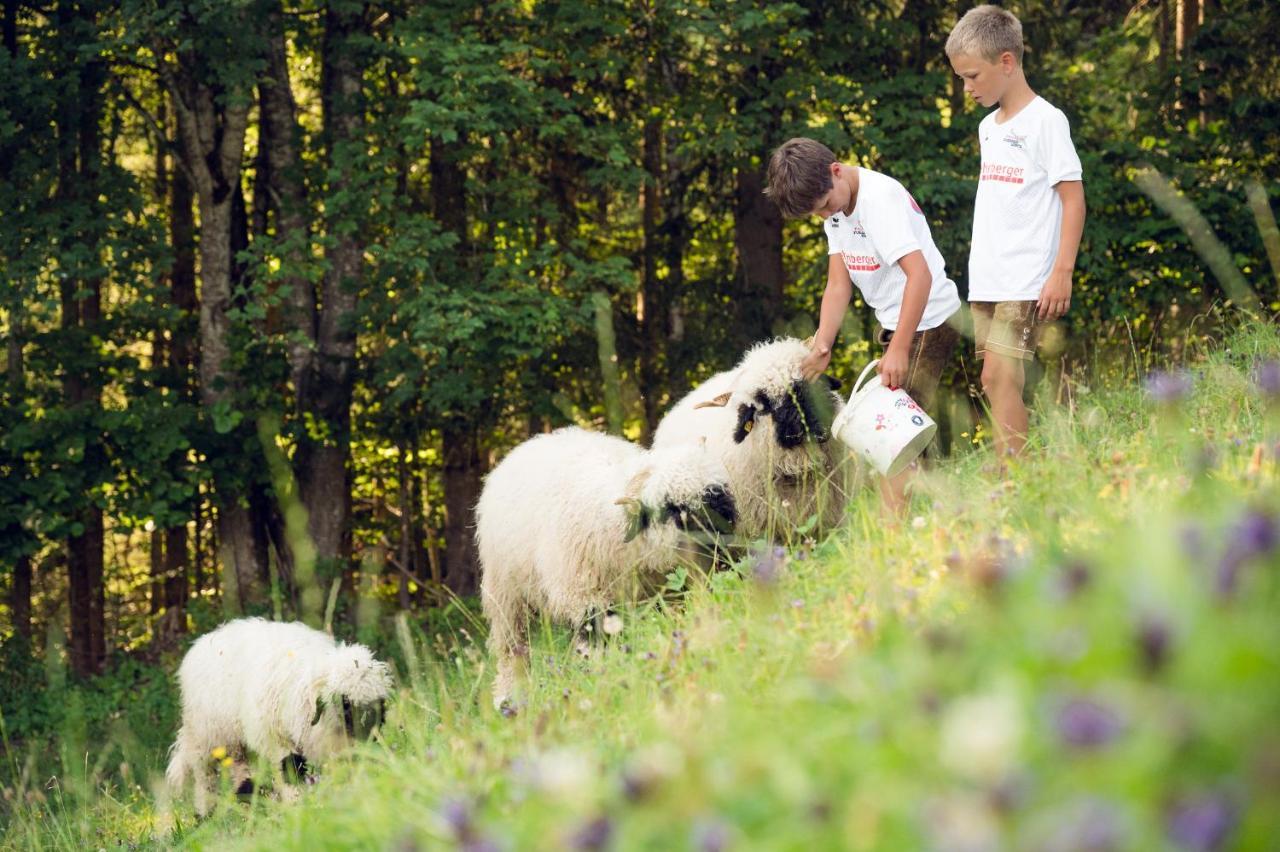 Familienbauernhof Samerhof Пфарверфен Екстериор снимка