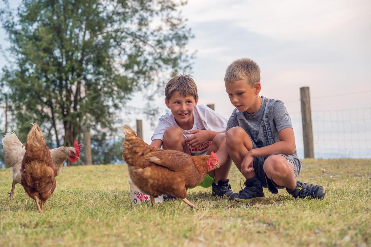 Familienbauernhof Samerhof Пфарверфен Екстериор снимка