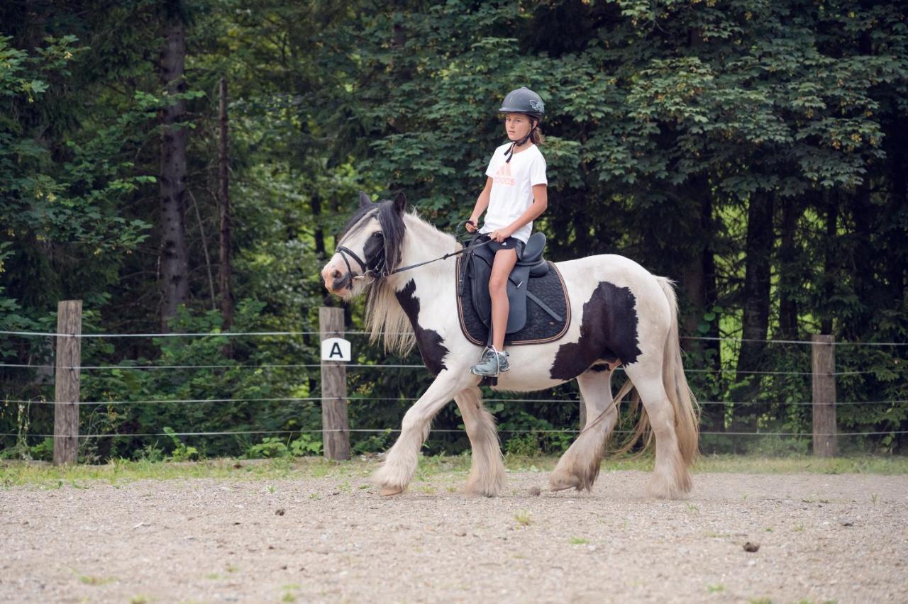 Familienbauernhof Samerhof Пфарверфен Екстериор снимка