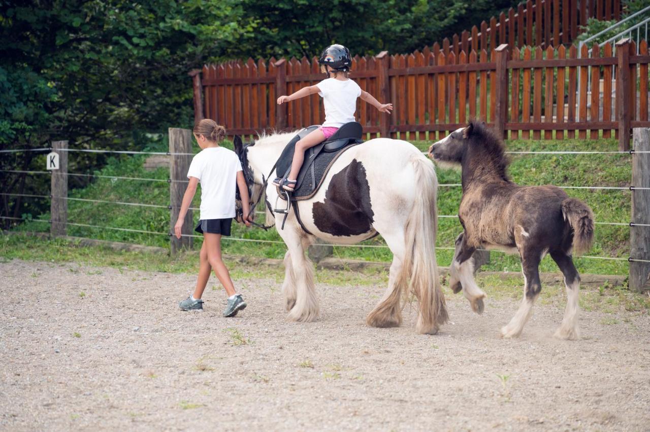 Familienbauernhof Samerhof Пфарверфен Екстериор снимка