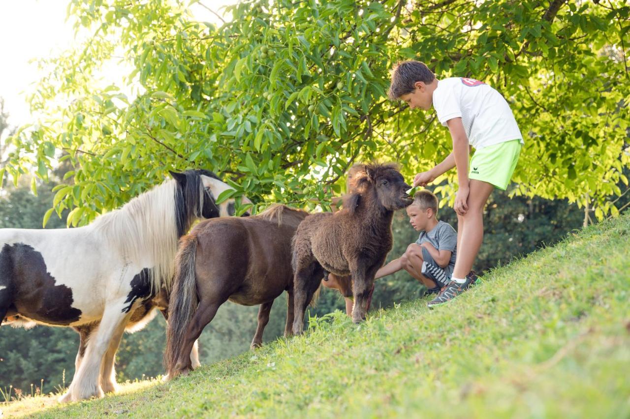 Familienbauernhof Samerhof Пфарверфен Екстериор снимка