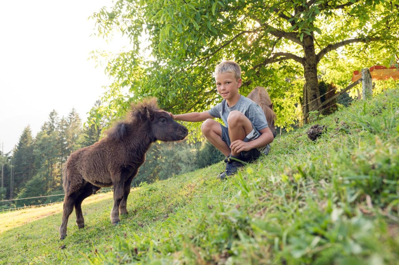 Familienbauernhof Samerhof Пфарверфен Екстериор снимка