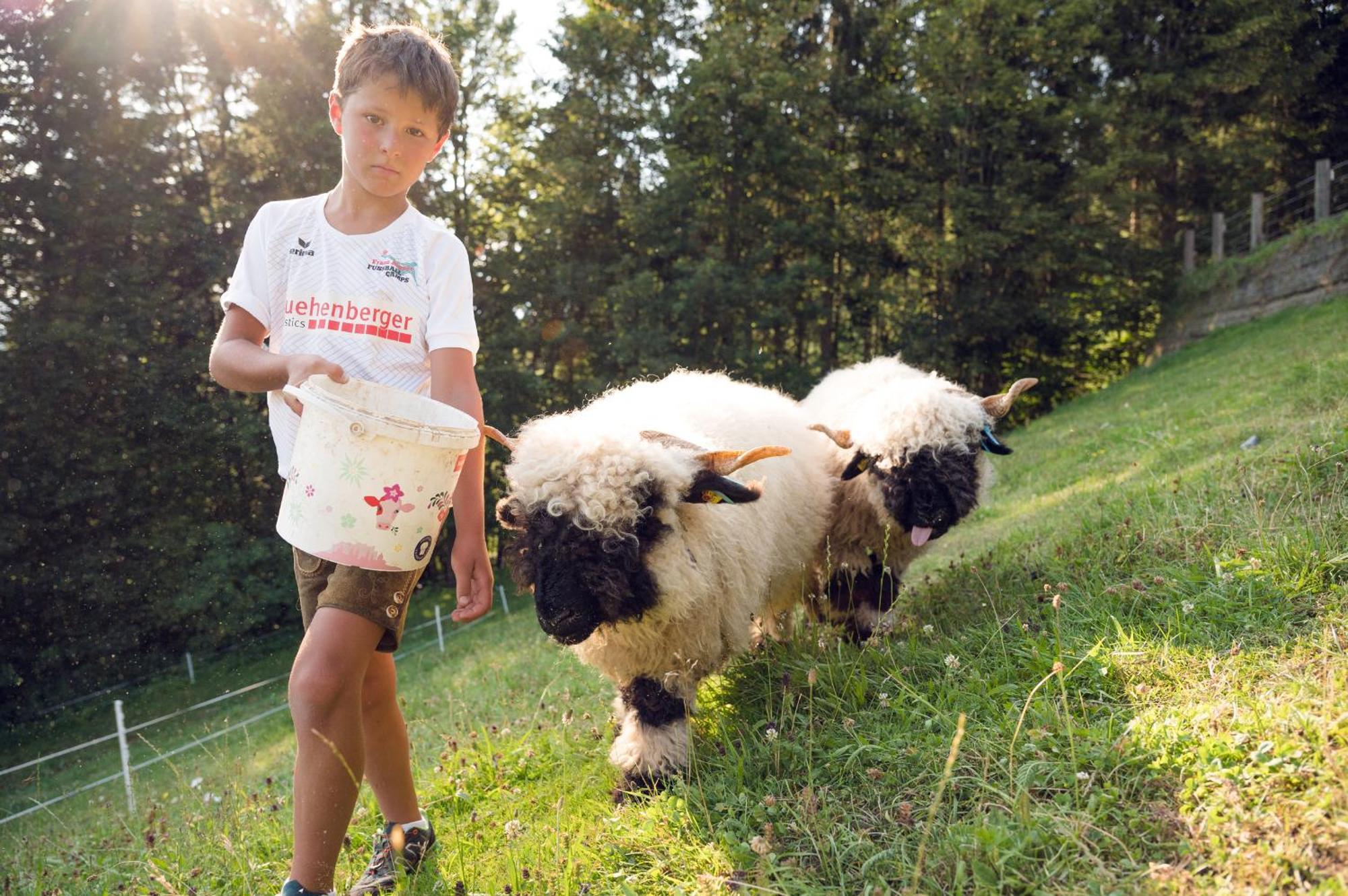 Familienbauernhof Samerhof Пфарверфен Екстериор снимка