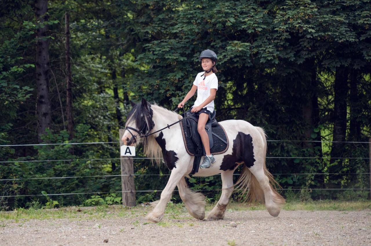 Familienbauernhof Samerhof Пфарверфен Екстериор снимка