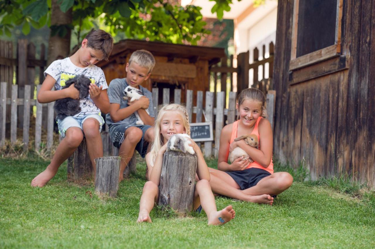 Familienbauernhof Samerhof Пфарверфен Екстериор снимка