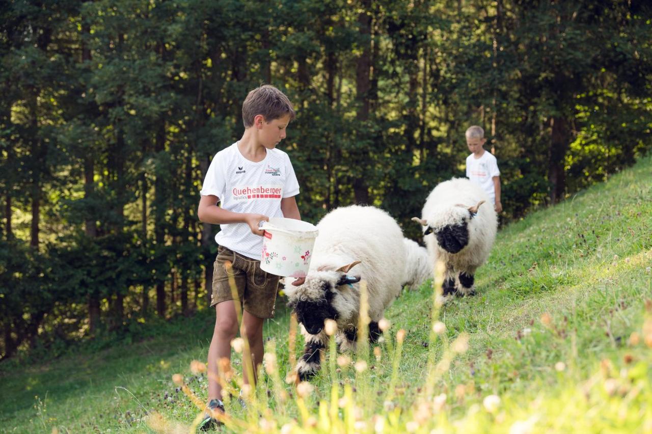 Familienbauernhof Samerhof Пфарверфен Екстериор снимка